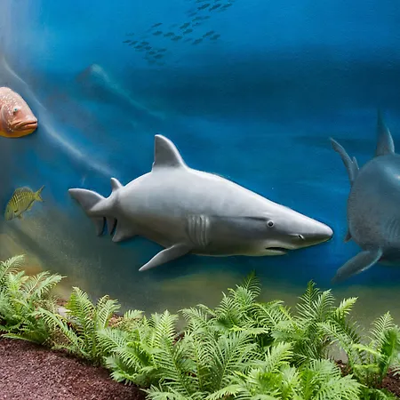 Hovima La Pinta Beachfront Family ホテル